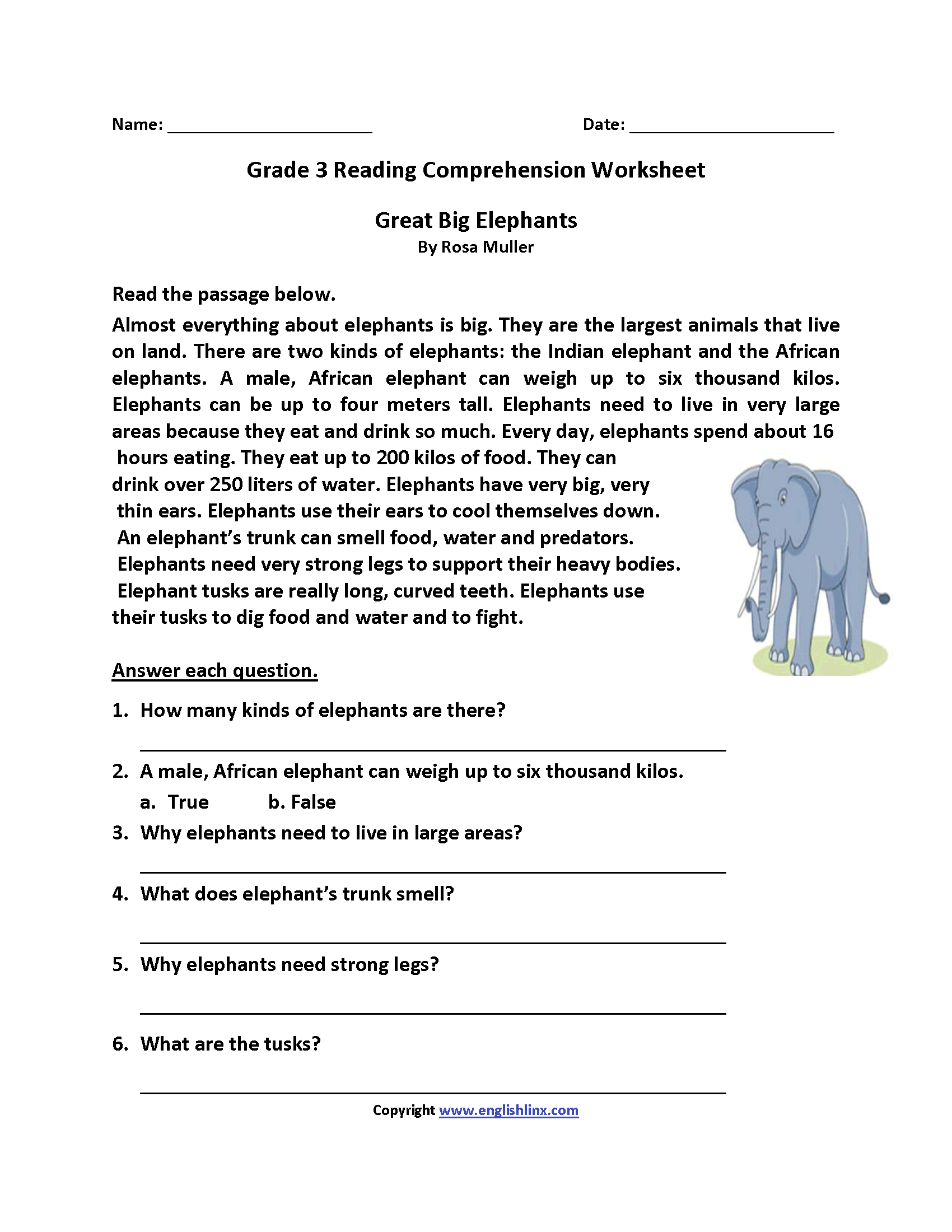 Great Big Elephants Third Grade Reading Worksheets