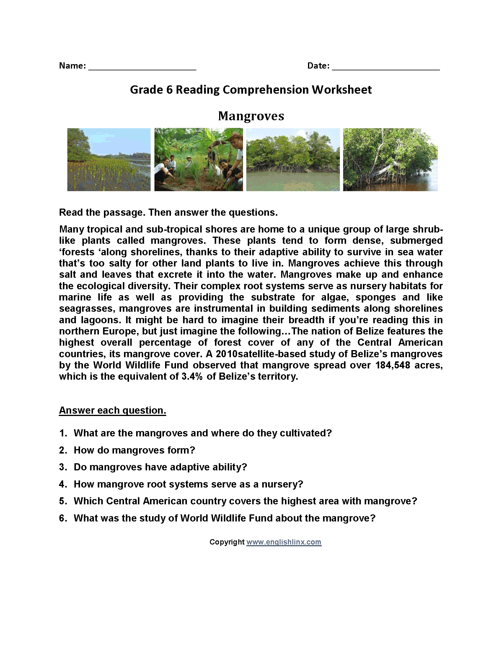 Mangroves Sixth Grade Reading Worksheets