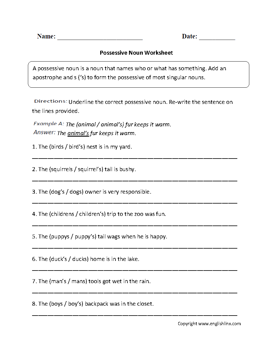 Possessive Noun Worksheet For Grade 4