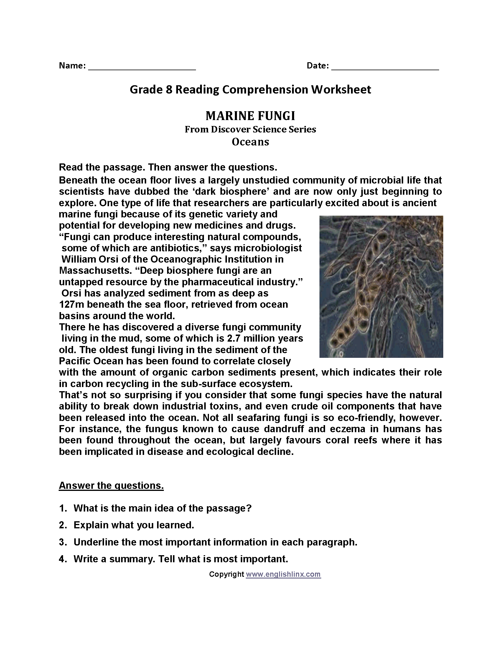 27 Reading Comprehension Worksheets For 8Th Grade Printables 