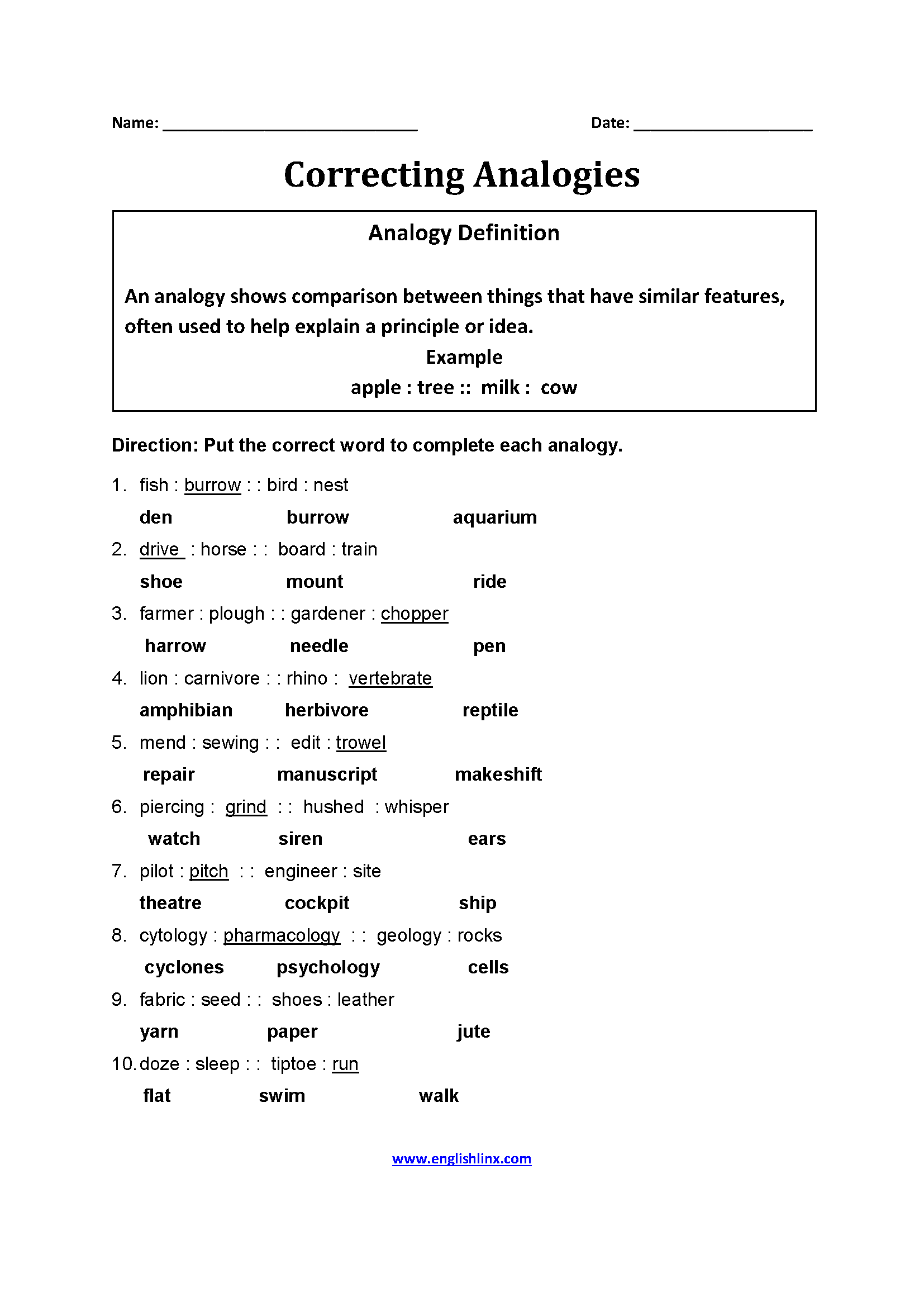 Correcting Analogy Worksheets