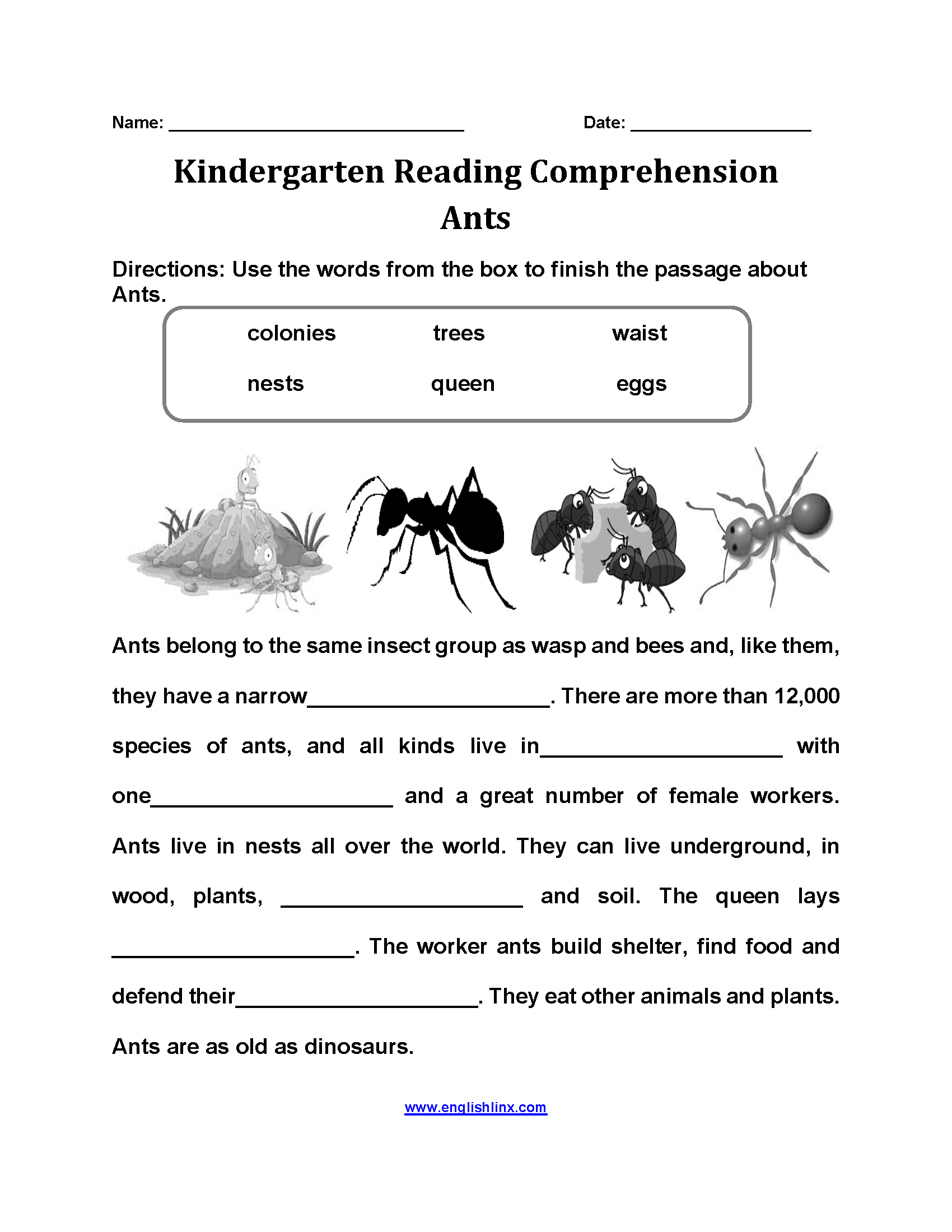 Ant's Kindergarten Reading Comprehension Worksheets