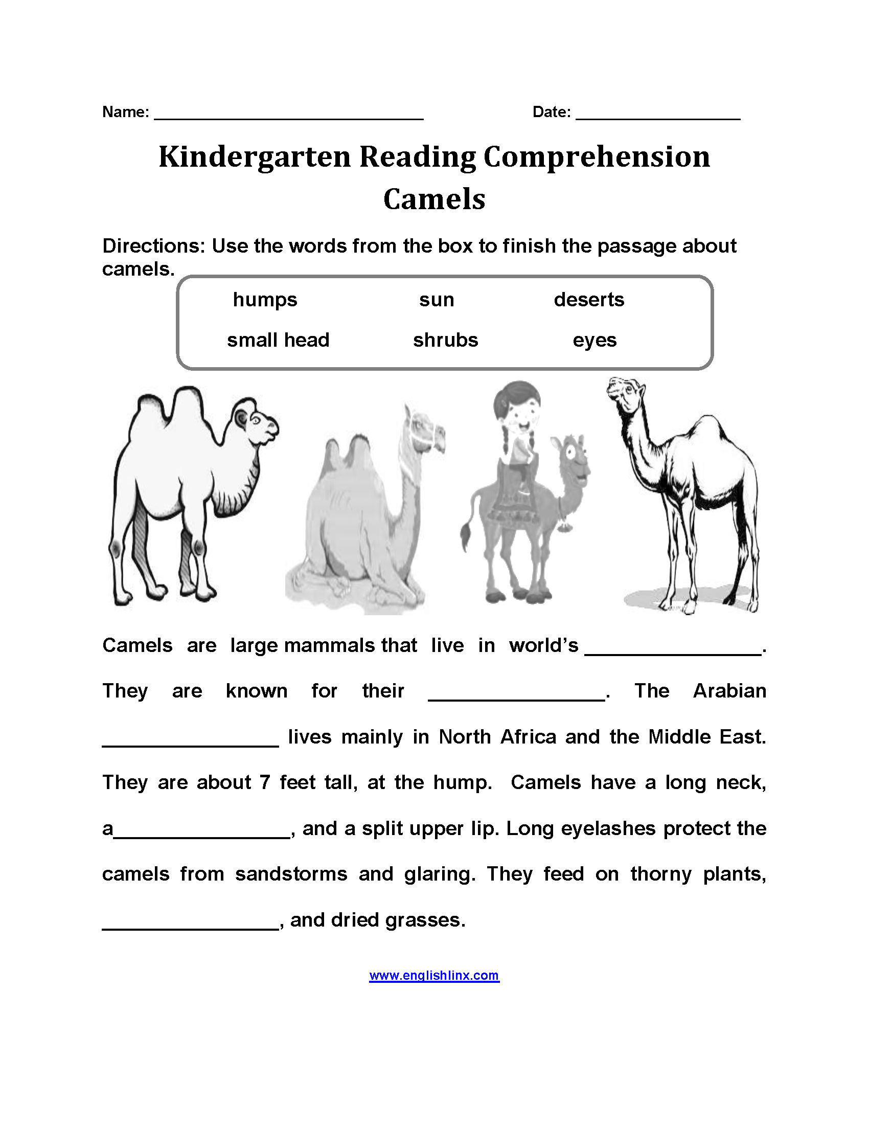 Camels Kindergarten Reading Comprehension Worksheets