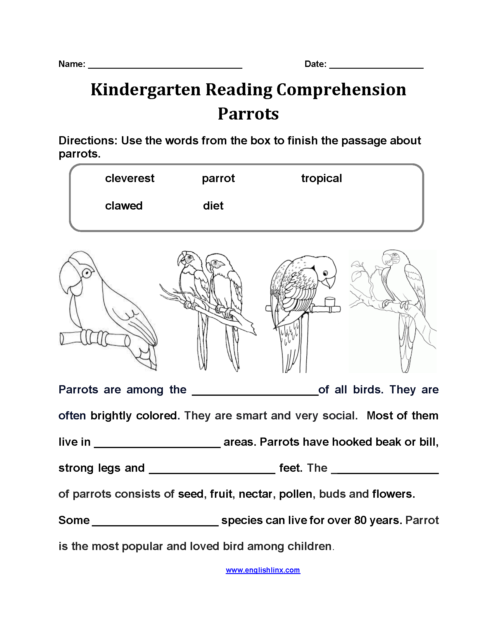 Parrots Kindergarten Reading Comprehension Worksheets