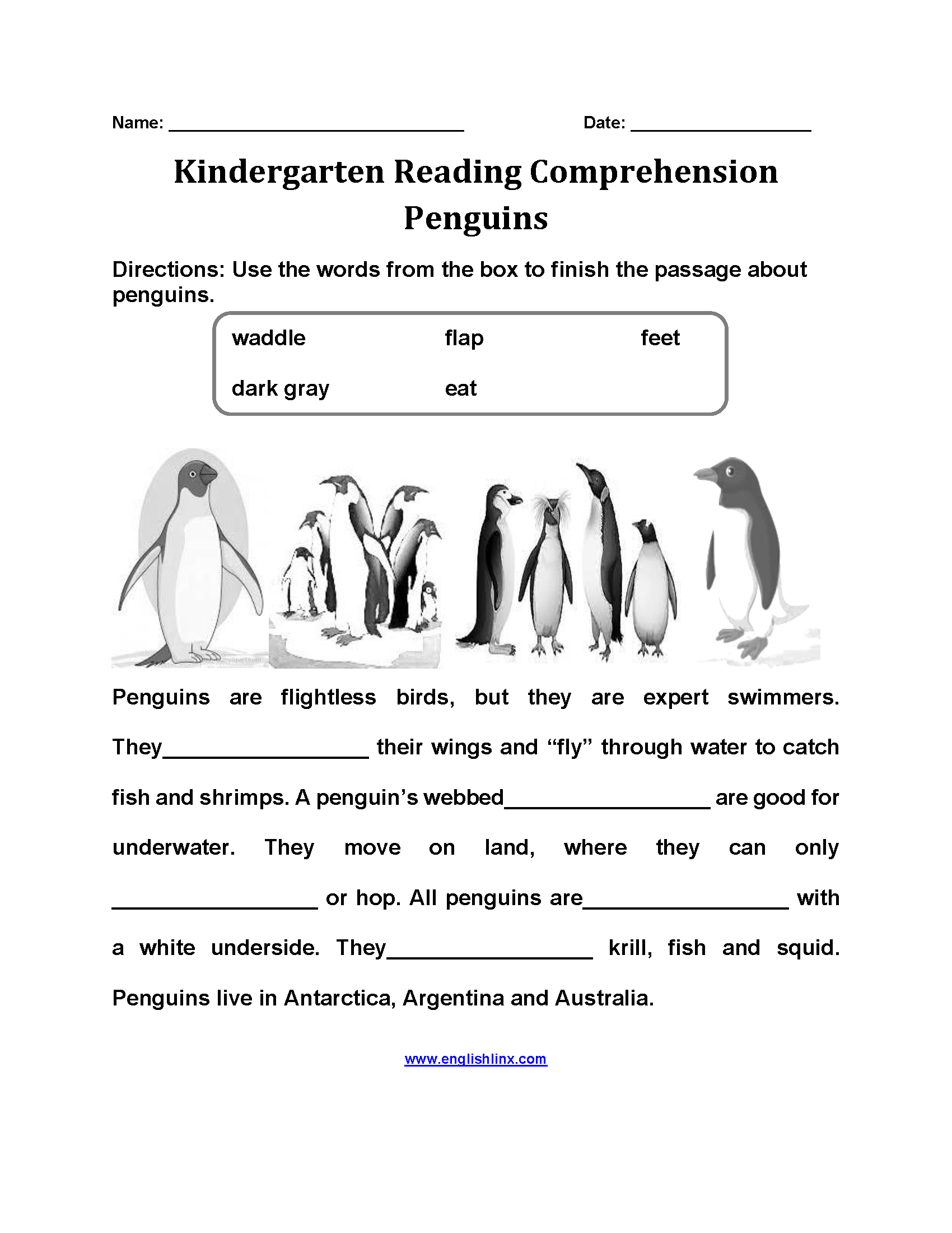 Penguins Kindergarten Reading Comprehension Worksheets