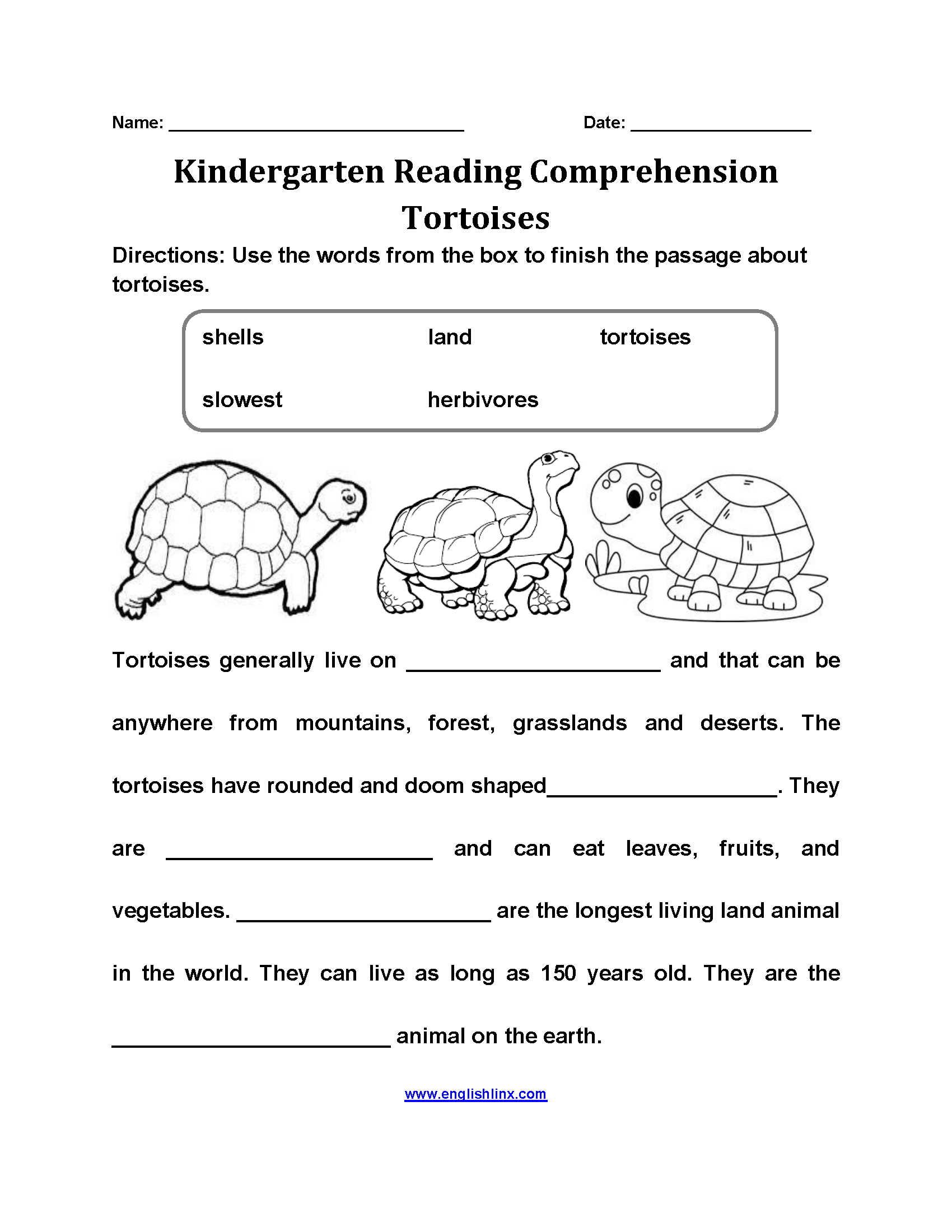 Tortoises Kindergarten Reading Comprehension Worksheets