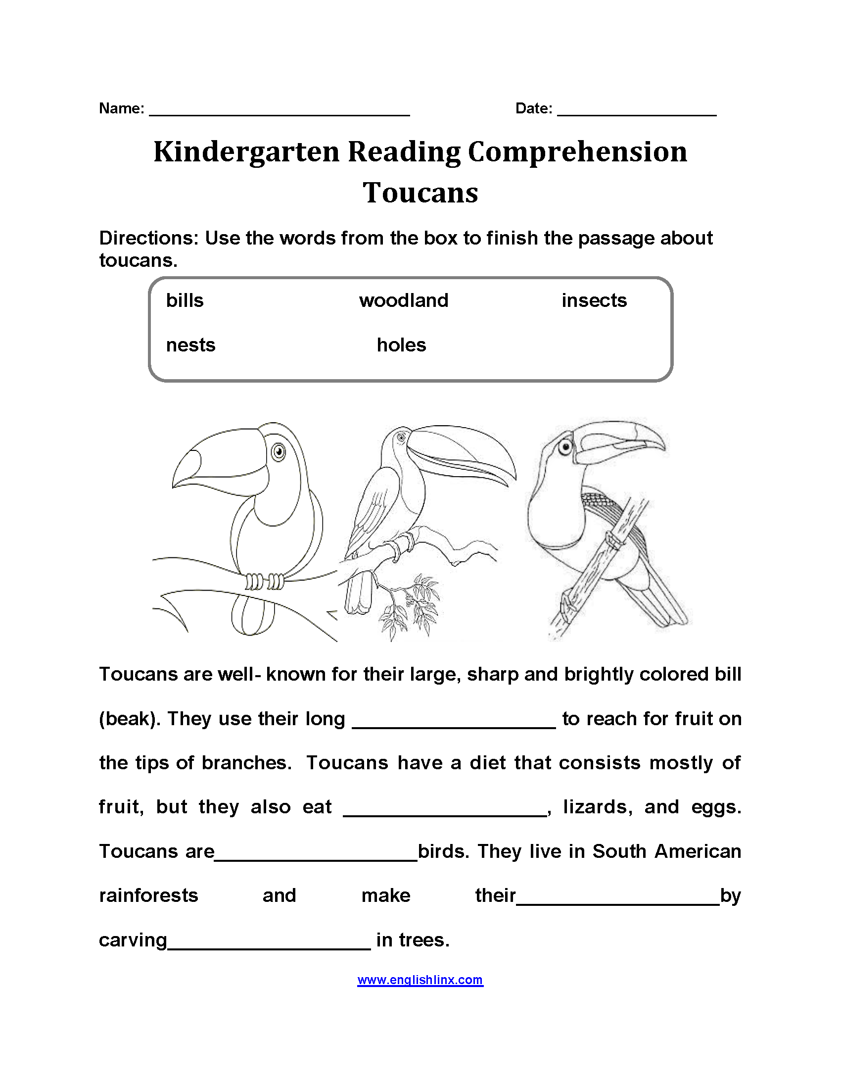 Toucans Kindergarten Reading Comprehension Worksheets