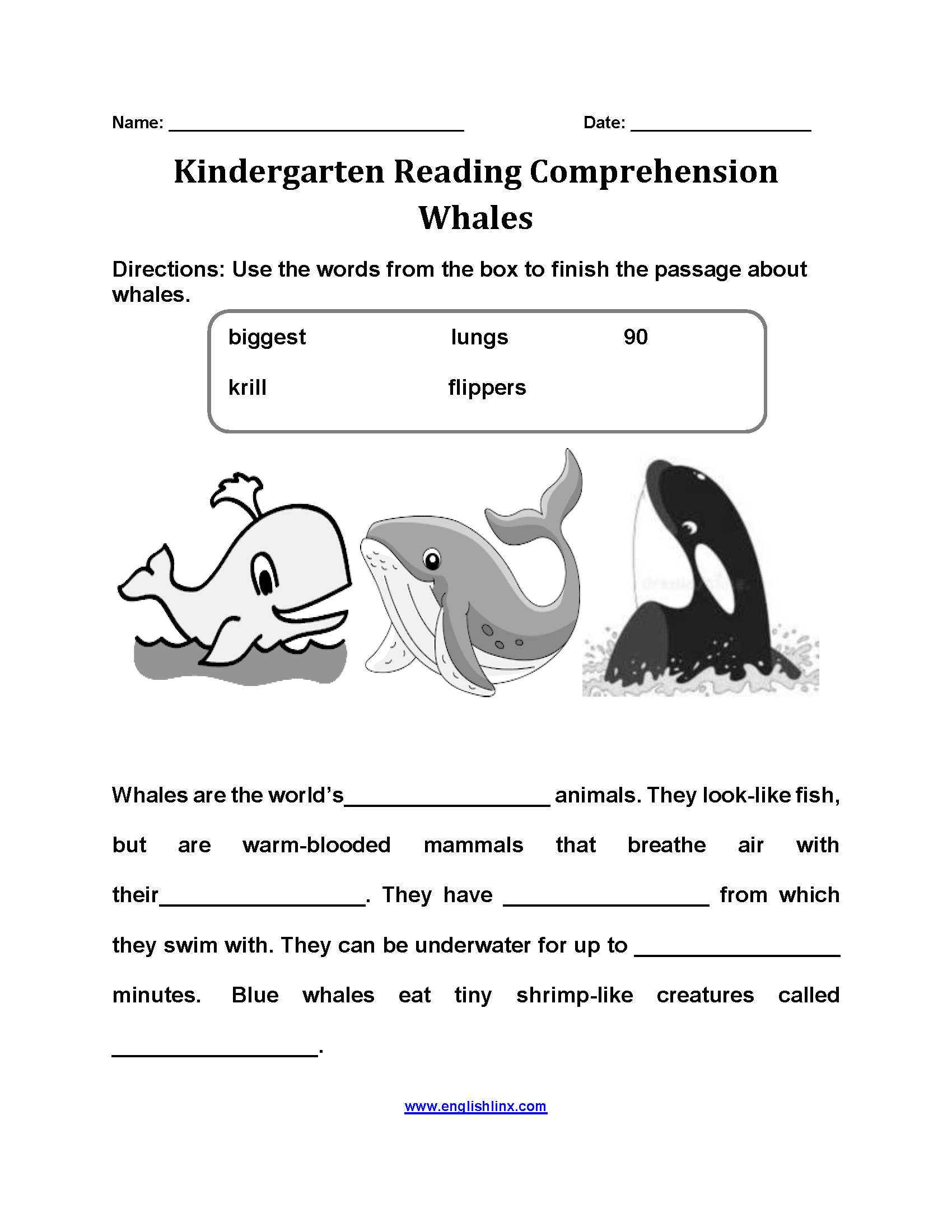The Whales Kindergarten Reading Comprehension Worksheets