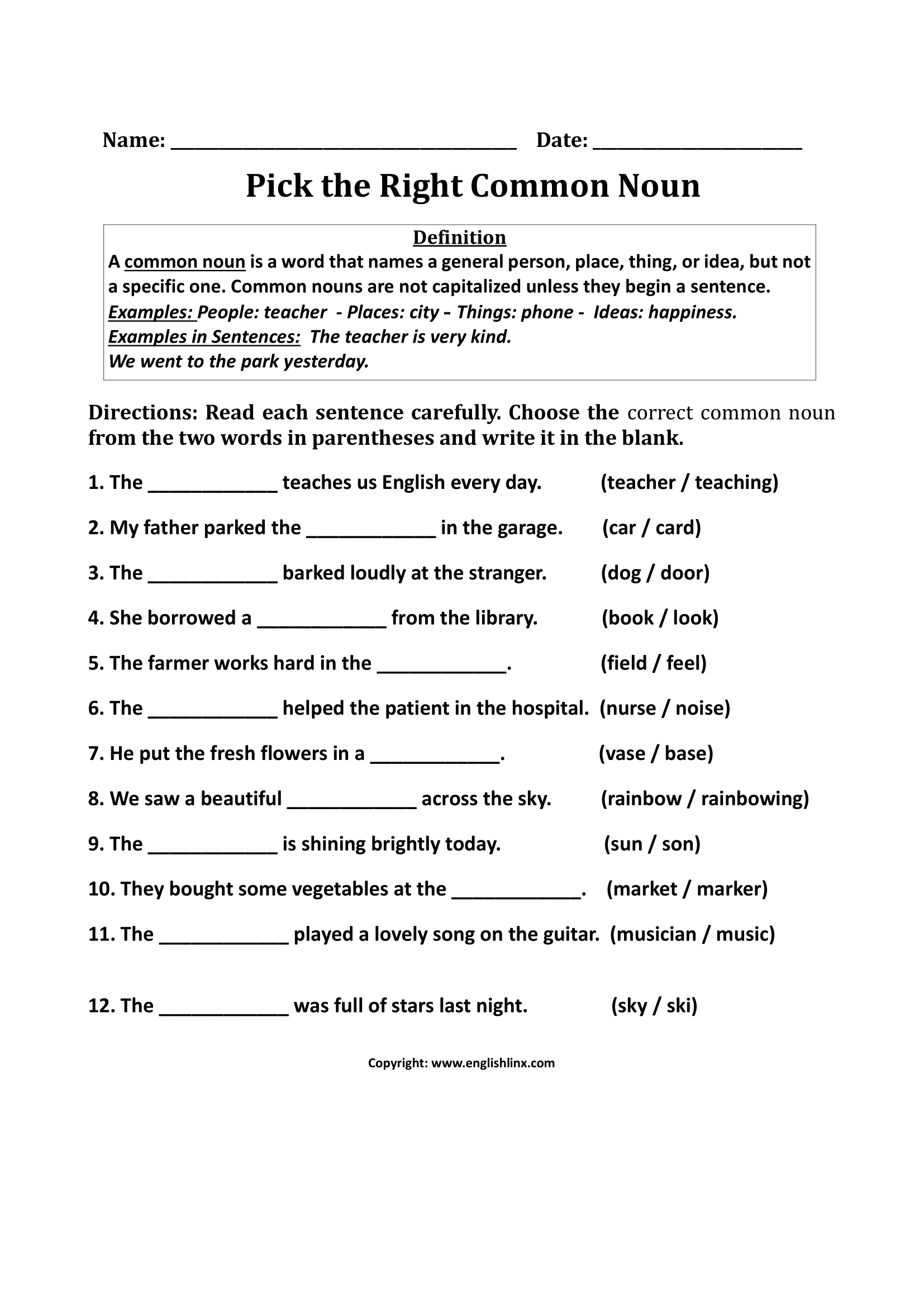 Pick the Right Common Nouns Worksheets