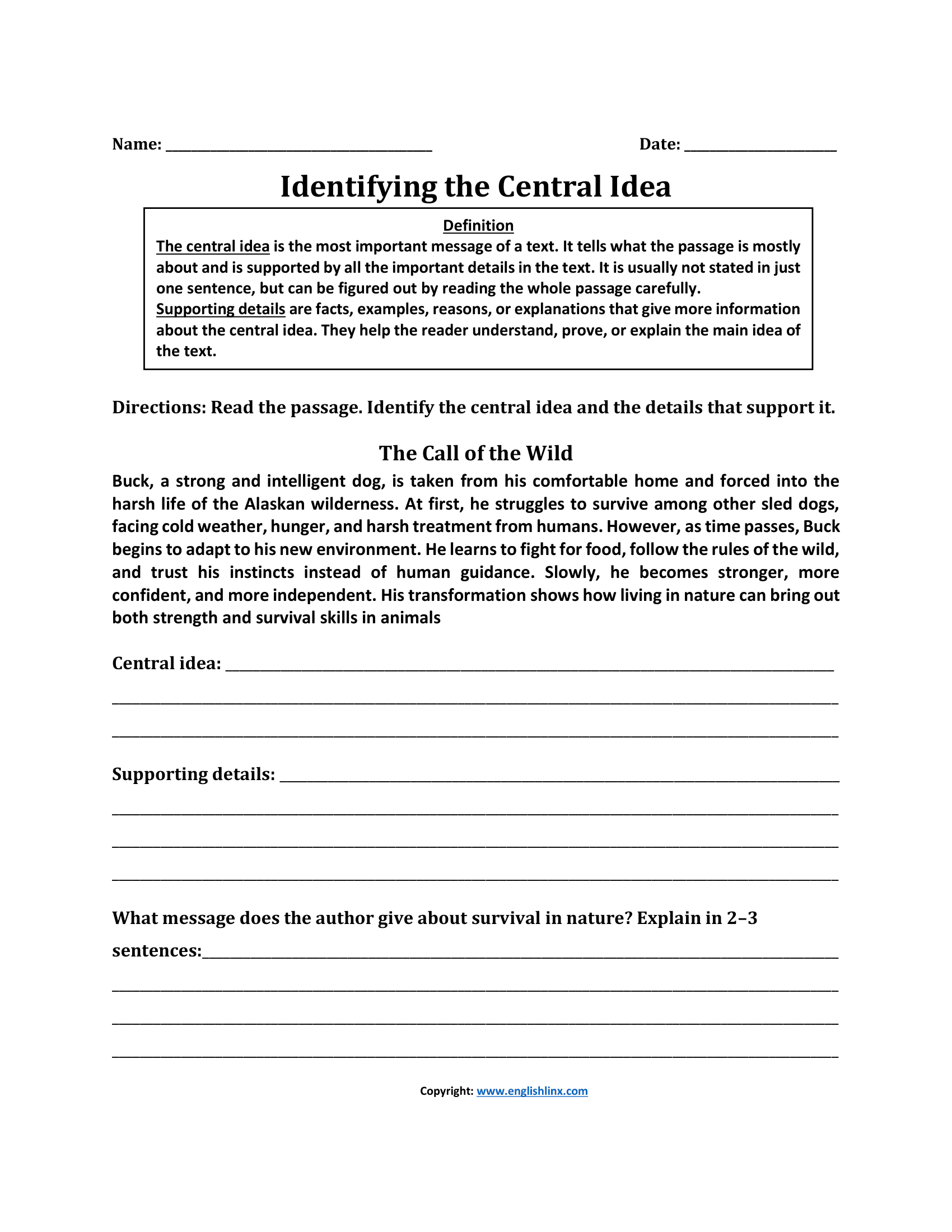 Fun Understanding Central Idea Worksheets