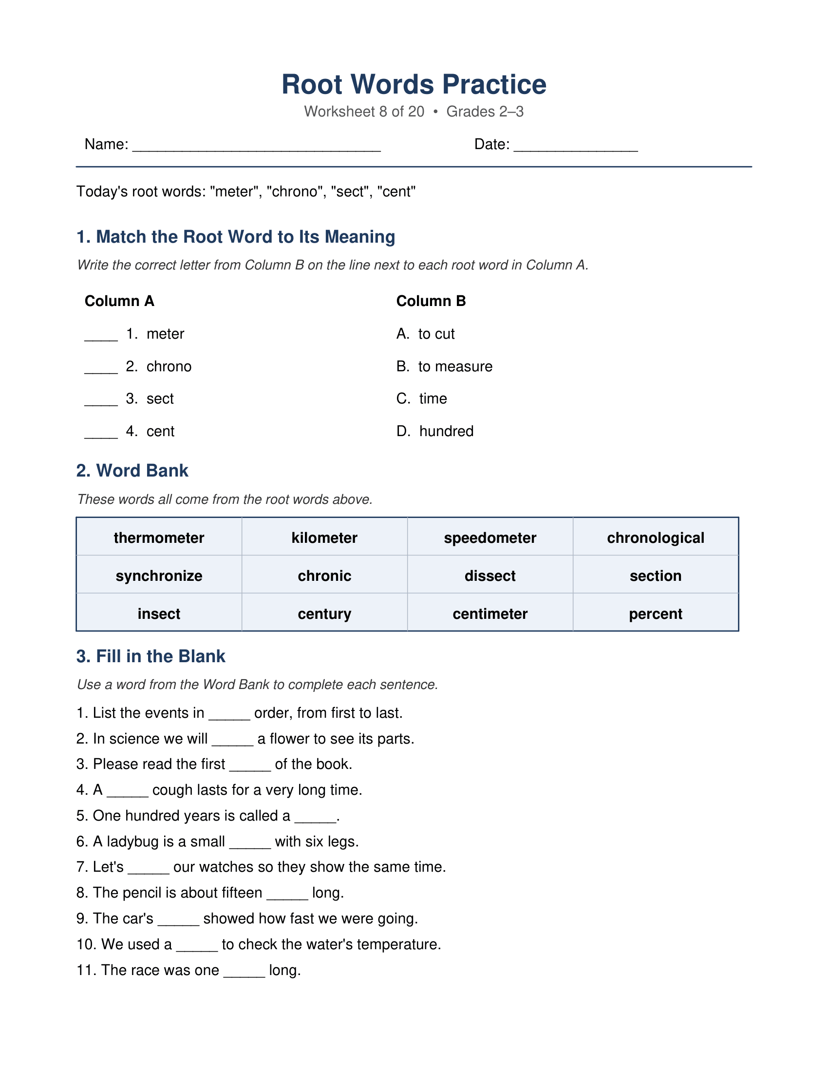 meter chrono sect cent Root Words Worksheets